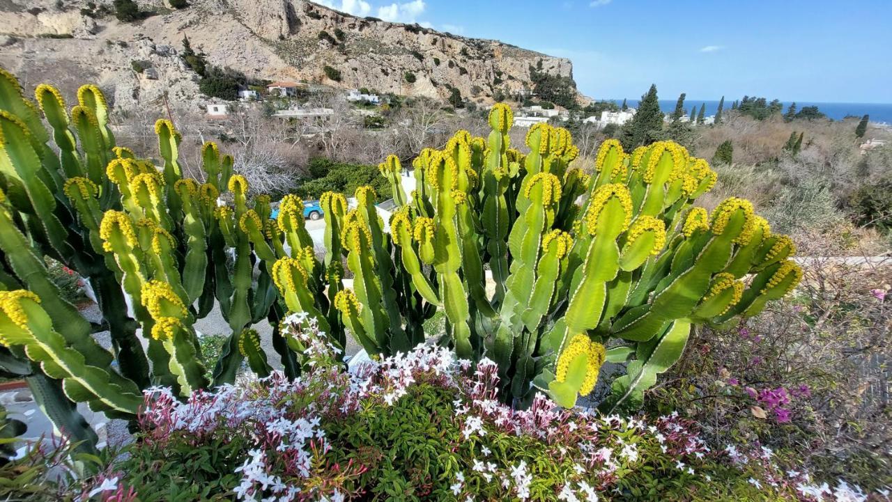 Archontiko Stegna Villa Archangelos  Luaran gambar